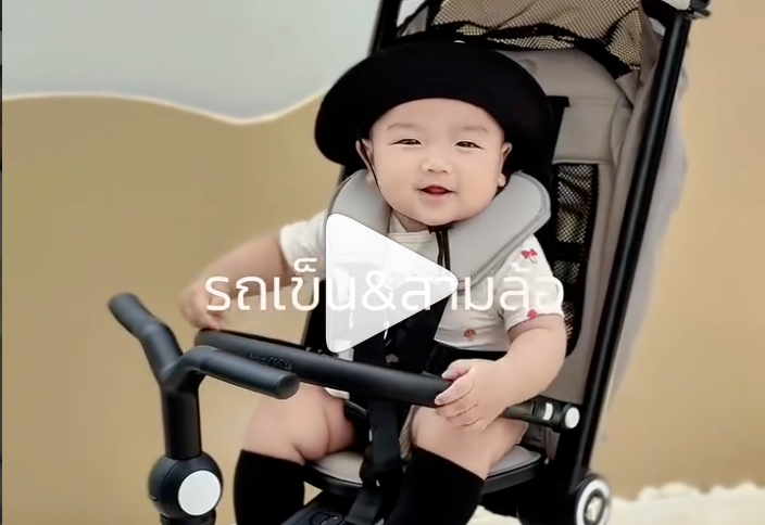 แม่กุ๊กไก่ :  Wonder Max Stone Beige